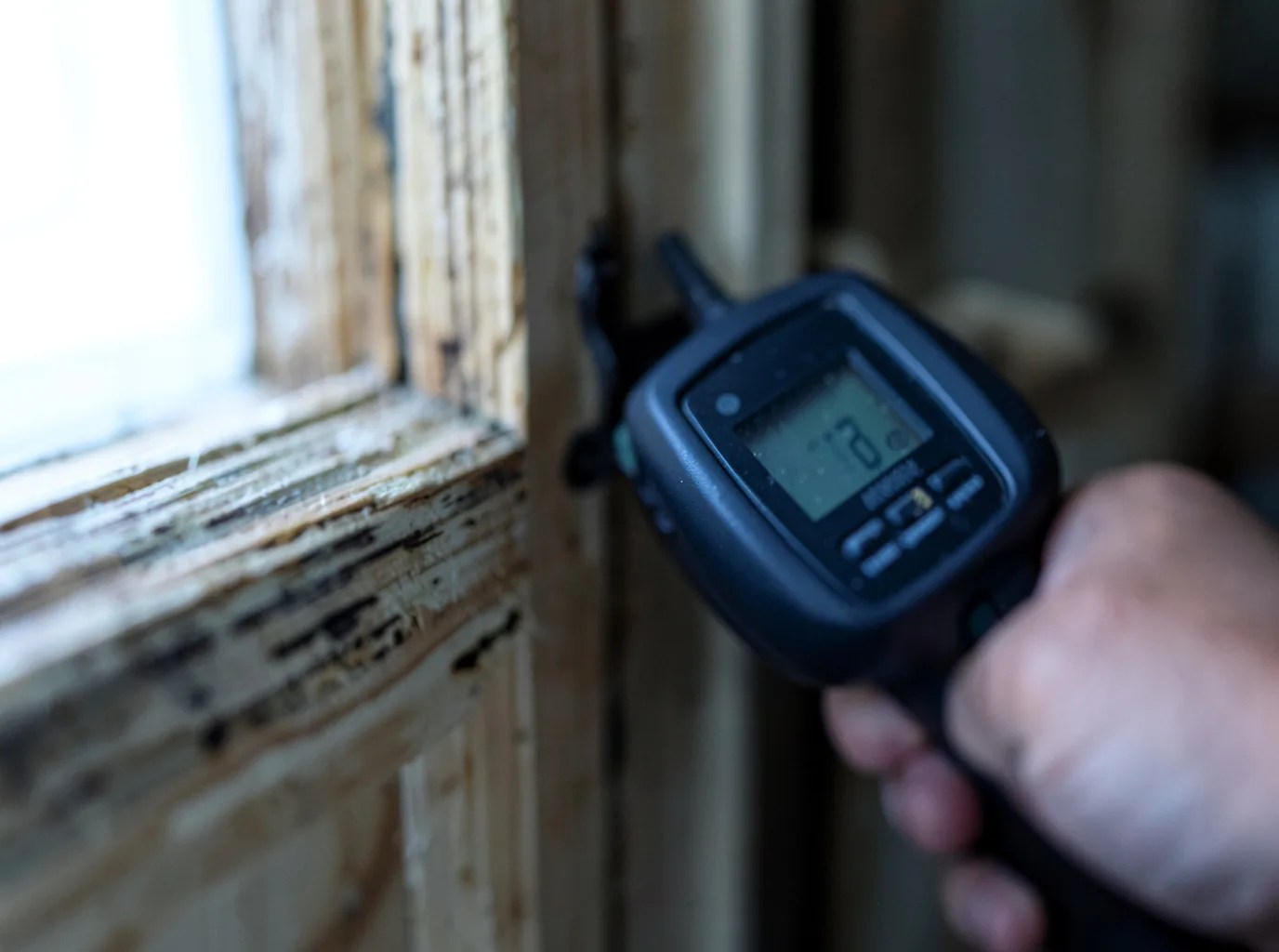Moisture Inspection And Documentation in Edisto Island, SC